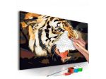 Quadro Fai Da Te 60x40 Cm. Animali N. 15 Arredalacasa Spedizione Gratis