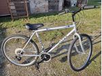 bici city bike rinnovata