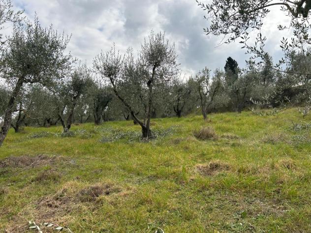Terreno agricolo in vendita a Corniola - Empoli 20000 mq Rif: 1099670 - Foto 3