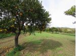 Terreno in vendita a Fiumefreddo di Sicilia, Castello