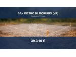 Immobile in asta di 5486 m² in vendita a San Pietro di Morubio