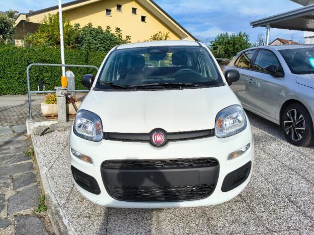 FIAT Panda 3ª serie Panda 1.0 FireFly S&S Hybrid Icon - Foto 2
