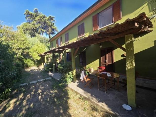 Appartamento in vendita a Montescudaio 40 mq Rif: 1447296 - Foto 6