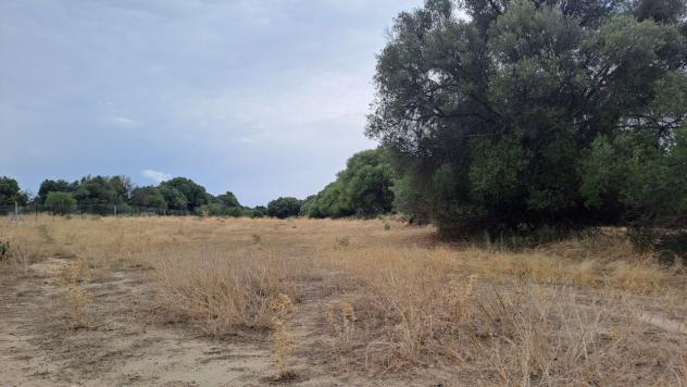 Agricolo in vendita a Quartucciu - Foto 13