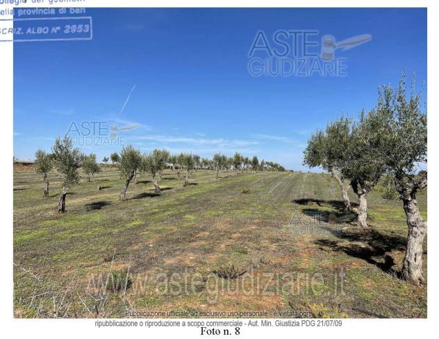 IMMOBILI-ALTRA CATEGORIA-Contrada Martucci, 70014 Conversano BA, Italia - Foto 8