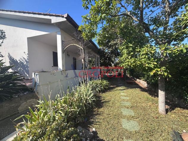 Villa 6 locali - Rif. 2701 - Foto 2