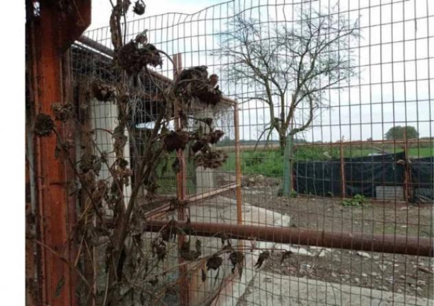 Immobile in asta di 140 m² in vendita a Villafranca Piemonte - Foto 7