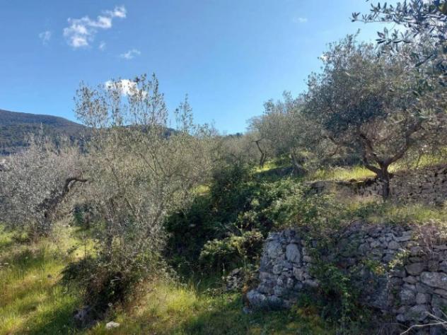 Immobile in asta di 4934 m² in vendita a Campello sul Clitunno - Foto 4