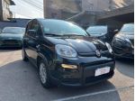 FIAT Panda 1.0 FireFly  *PREZZO PROMO* rif. 22872327