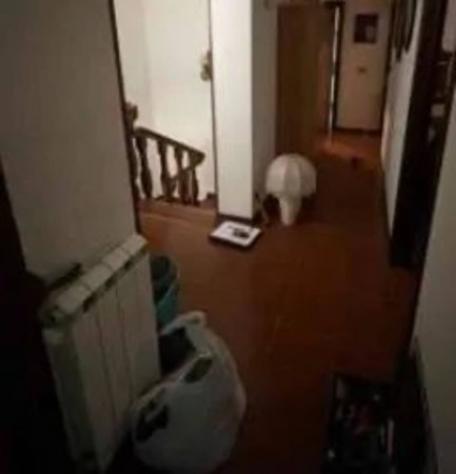 Immobile in asta di 252 m², box auto in vendita a Castel del Piano - Foto 17