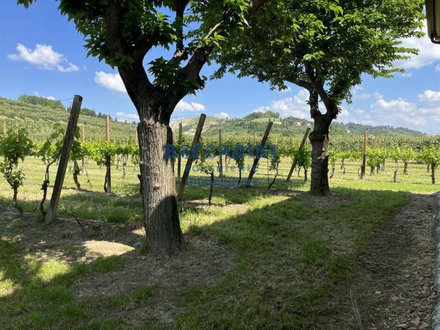 FONDO AGRICOLO CANOVA - BRISIGHELLA VIA FAENTINA VICINO AL CIVICO 95 - Foto 2