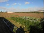 Terreno agricolo irriguo di 5500 mq