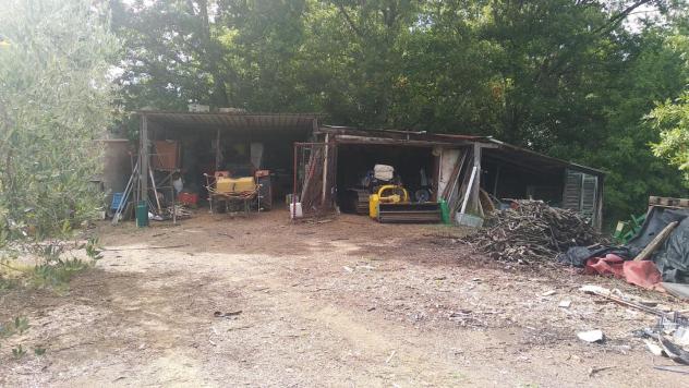 Terreno edif. residenziale in vendita a Paganico - Civitella Paganico 50000 mq Rif: 1072899 - Foto 4