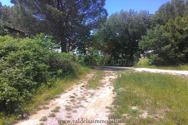 Terreno agricolo in vendita a Colle di Val d'Elsa 40000 mq Rif: 926681
