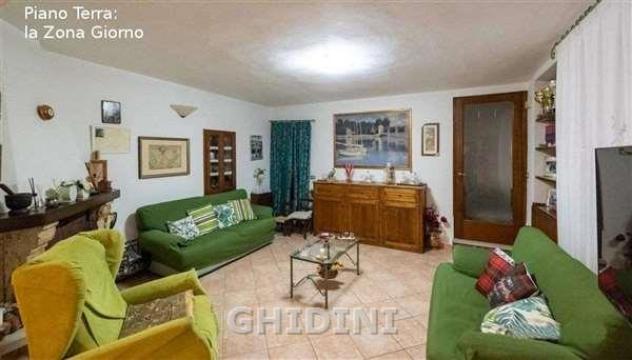 COLONICA di 8 vani e di 200 mq (MAGLIANO IN TOSCANA - POGGIO LA MOZZA) rif. 1017.163M - Foto 10