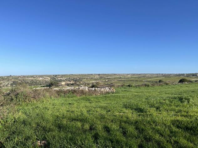 Agricolo in Contrada Renna - Foto 10