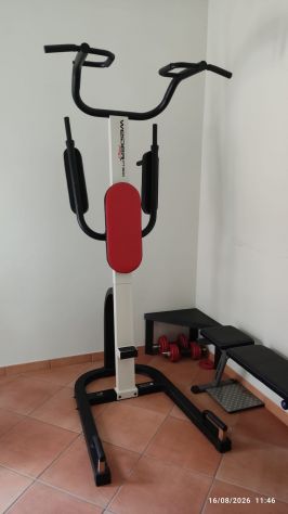 Weider Pro PT 800 - Stazione Dip e Addominali