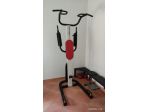 Weider Pro PT 800 - Stazione Dip e Addominali
