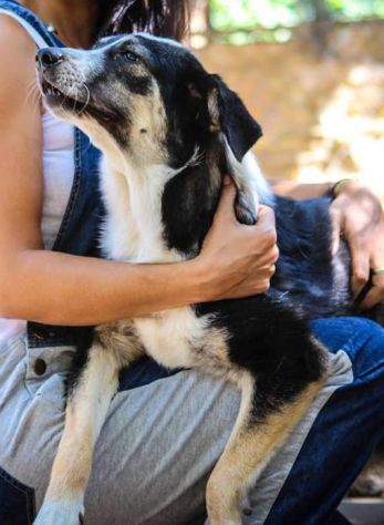 Bellissima cucciolotta in cerca d'amore - Foto 3