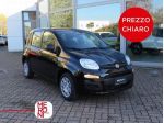 FIAT Pandina 1.0 FireFly 65cv S&S 6m Hybrid Icon