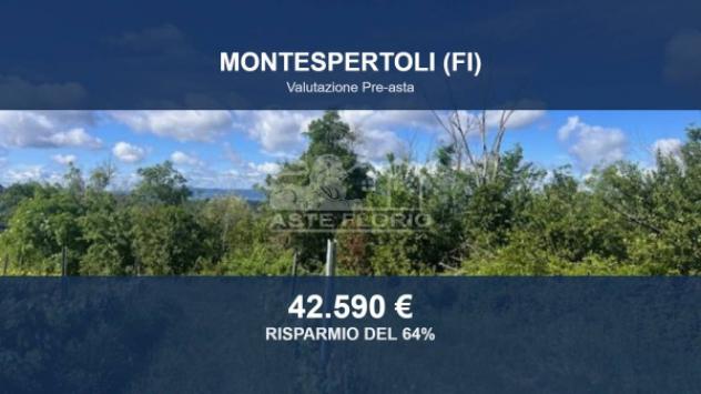 Immobile in asta di 157149 m² in vendita a Montespertoli