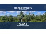 Immobile in asta di 157149 m² in vendita a Montespertoli