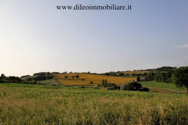 Agricolo in vendita a Pesaro - Foto 8