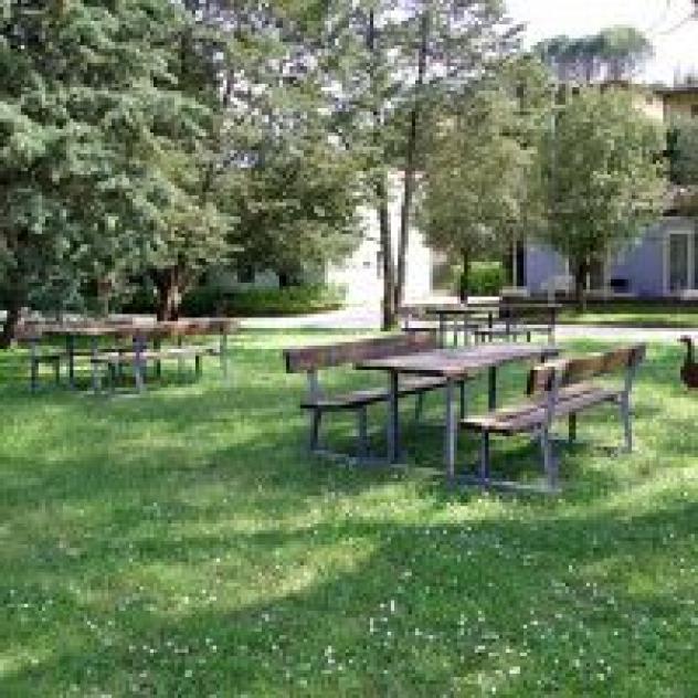 Colleverde S.r.l. - Foto 3