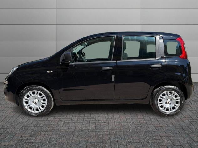 FIAT Pandina 1.0 FireFly 65cv S&S 6m Hybrid Pop - Foto 2