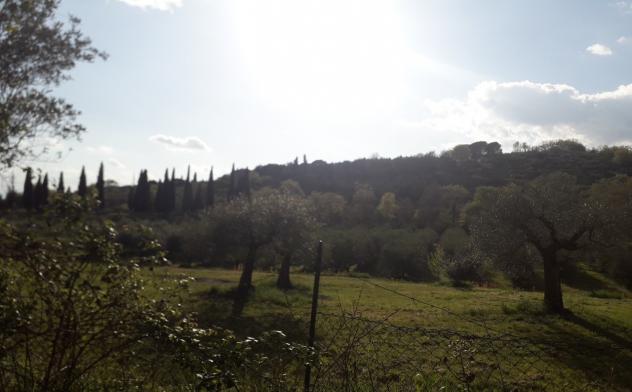 Indipendente in vendita a Passignano sul Trasimeno - Foto 13