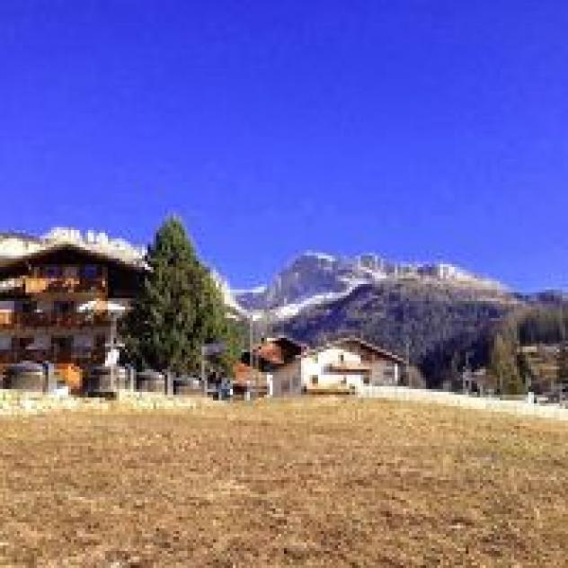Majon Ladina - Foto 3