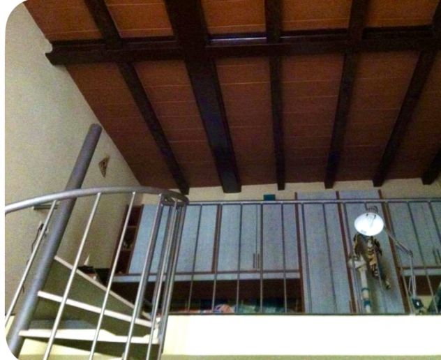 Monolocale mansardato, facoltà di lettere e filosofia ( PARMA) - Foto 8