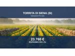 Immobile in asta di 60524 m² in vendita a Torrita di Siena