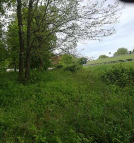 Immobile in asta di 34378 m² in vendita a Treviso - Foto 9