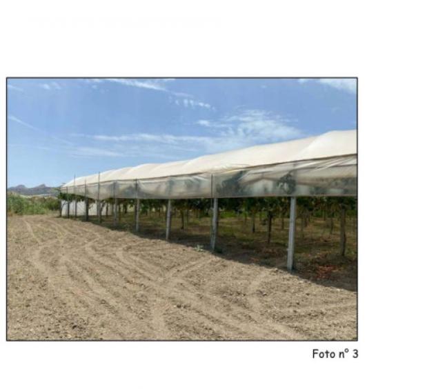 Immobile in asta di 5800 m² in vendita a Palma di Montechiaro - Foto 5