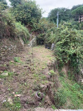 Frutteto in vendita a Vado Ligure - Foto 3