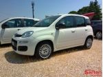 FIAT - Panda - 1.0 FireFly S&S Hybrid