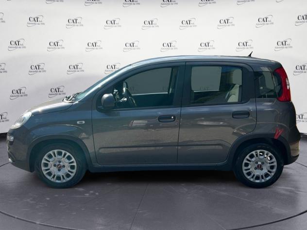 FIAT Panda Panda 1.0 firefly hybrid (prezzo reale) - Foto 5