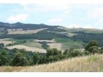 Azienda agricola in vendita a Volterra 3700000 mq  Rif: 1281732