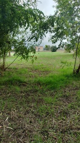 Terreno - Foto 4