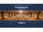 Immobile in asta di 448 m² in vendita a Putignano
