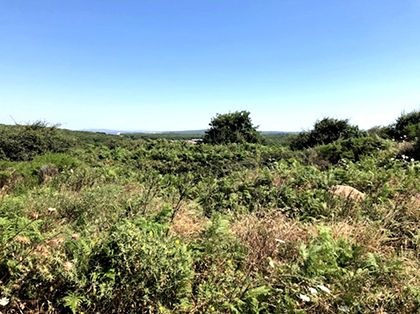 Terreno a Santu Lussurgiu - Foto 5