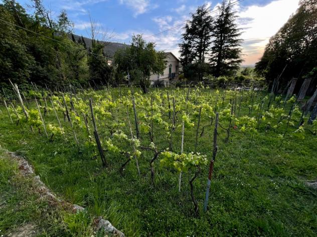 Villa in vendita a Calci 580 mq Rif: 1302430 - Foto 4