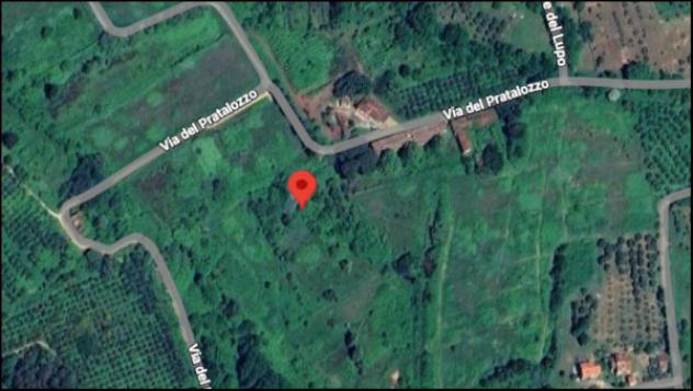 Immobile in asta di 9170 m² in vendita a Pescia - Foto 12