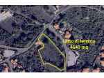terreno agricolo in affitto a Tremestieri Etneo in Via Annunziata