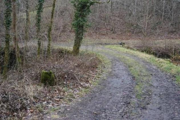 Immobile in asta di 6196 m² in vendita a Valli del Pasubio - Foto 11
