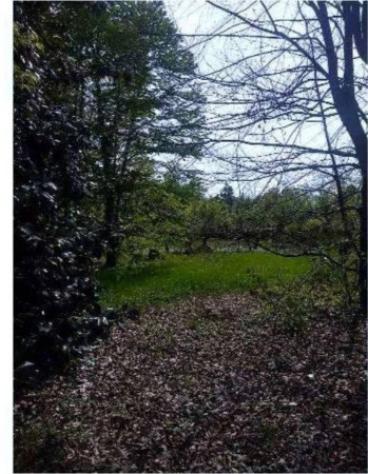 Immobile in asta di 11048 m² in vendita a Caneva - Foto 5