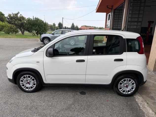 Fiat Panda 1.0 Hybrid - Foto 2