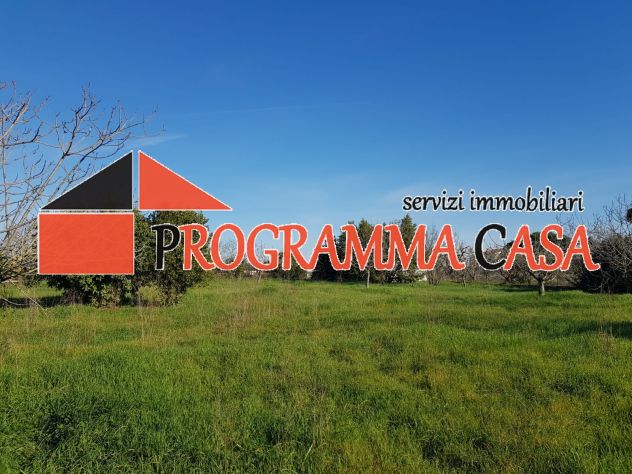 POMEZIA ZONA CASTAGNETTA VIA TIGLI TERRENO PROX EDIFICBILITA 2300 MQ
