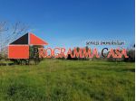 POMEZIA ZONA CASTAGNETTA VIA TIGLI TERRENO PROX EDIFICBILITA 2300 MQ